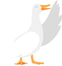 duck img